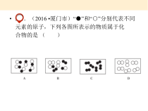 《化学用语专题复习》PPT课件10-九年级上册化学人教版