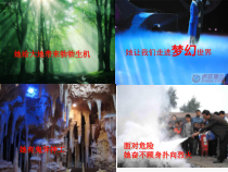 《课题2 二氧化碳制取的研究》教学课件-九年级上册化学人教版