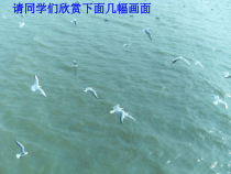 《课题1 爱护水资源》教学课件-九年级上册化学人教版
