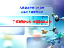 《实验活动2 二氧化碳的实验室制取与性质》教学课件-九年级上册化学人教版