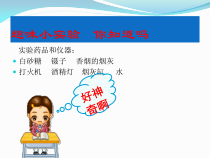 《实验活动3 燃烧的条件》PPT课件2-九年级上册化学人教版