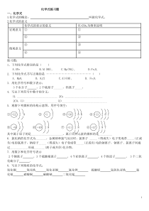 《课题4 化学式与化合价》化学式练习题-九年级上册化学人教版