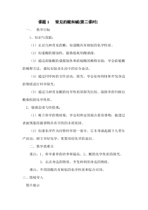 《常见的酸》教案-九年级下册化学人教版