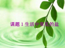 《课题1 生活中常见的盐》PPT课件1-九年级下册化学人教版