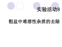 《实验活动8 粗盐中难溶性杂质的去除》PPT课件1-九年级下册化学人教版