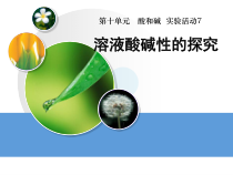 《实验活动7 溶液酸碱性的检验》PPT课件1-九年级下册化学人教版