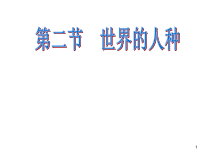 《第二节 世界的人种》PPT课件4-湘教版地理七年级上册