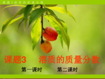 《课题3 溶液的浓度》PPT课件2-九年级下册化学人教版