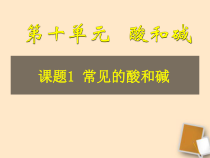 《酸、碱与指示剂作用》PPT课件2-九年级下册化学人教版