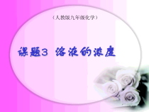 《课题3 溶液的浓度》教学课件-九年级下册化学人教版
