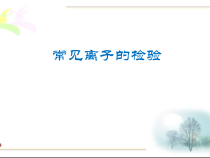 《常见的碱》PPT课件1-九年级下册化学人教版