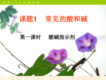 《酸、碱与指示剂作用》PPT课件1-九年级下册化学人教版