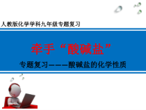 《专题复习———酸碱盐的化学性质》PPT课件2-九年级下册化学人教版