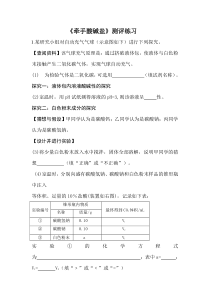 《牵手酸碱盐》测评练习-九年级下册化学人教版