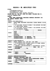 《实验活动6 酸、碱的化学性质》学案-九年级下册化学人教版