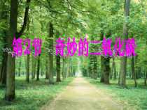 《到实验室去：二氧化碳的实验室制取与性质》PPT课件3-九年级上册化学鲁教版