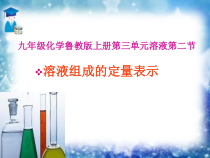 《第二节 溶液组成的定量表示》PPT课件4-九年级上册化学鲁教版
