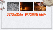 《到实验室去：探究燃烧的条件》PPT课件3-九年级上册化学鲁教版