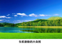 《第一节 空气的成分》PPT课件2-九年级上册化学鲁教版