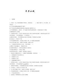 《第一节 燃烧与灭火》同步练习-九年级上册化学鲁教版