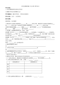 《第一节 酸及其性质》教学设计5-九年级下册化学鲁教版