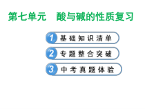 《第三节 溶液的酸碱性》PPT课件1-九年级下册化学鲁教版