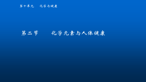 《第二节 化学元素与人体健康》PPT课件2-九年级下册化学鲁教版
