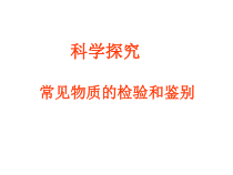 《到实验室去：精盐中难溶性杂质的去除》PPT课件1-九年级下册化学鲁教版