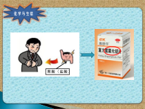 《第二节 碱及其性质》PPT课件2-九年级下册化学鲁教版