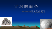 《第三节 海水“晒盐”》PPT课件4-九年级下册化学鲁教版