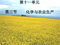 《第三节 化学与农业生产》PPT课件1-九年级下册化学鲁教版