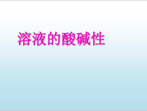 《第三节 溶液的酸碱性》PPT课件3-九年级下册化学鲁教版