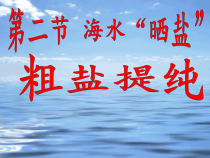 《第三节 海水“晒盐”》PPT课件3-九年级下册化学鲁教版