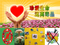 《第三节 远离有毒物质》PPT课件1-九年级下册化学鲁教版