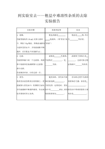 《到实验室去：精盐中难溶性杂质的去除》实验报告-九年级下册化学鲁教版