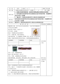 《第1节 金属的性质和利用》教学设计2-九年级上册化学沪教版