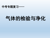 《专题复习：气体的检验与净化》PPT课件8-九年级上册化学沪教版