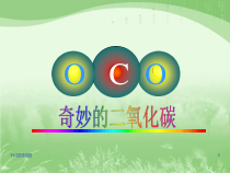 《基础实验2 二氧化碳的制取与性质》PPT课件3-九年级上册化学沪教版