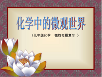 《专题复习：化学中的微观世界》PPT课件9-九年级上册化学沪教版
