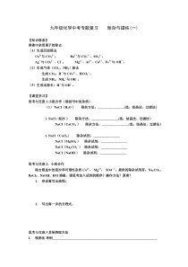 《基础实验6 粗盐的初步提纯》教学设计1-九年级下册化学沪教版