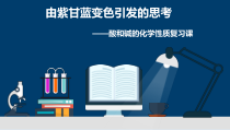 《基础实验8 酸与碱的化学性质》PPT课件2-九年级下册化学沪教版