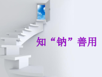 《复分解反应及其应用》PPT课件2-九年级下册化学沪教版