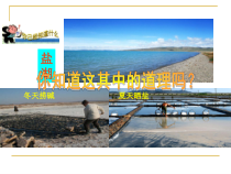 《你知道这其中的道理吗》PPT课件2-九年级下册化学沪教版