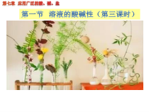 《第1节 溶液的酸碱性》PPT课件2-九年级下册化学沪教版