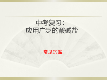 《第3节 几种重要的盐》PPT课件1-九年级下册化学沪教版