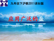 《第3节 几种重要的盐》PPT课件2-九年级下册化学沪教版