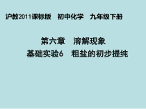 《基础实验6 粗盐的初步提纯》PPT课件1-九年级下册化学沪教版