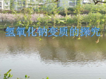 《基础实验8 酸与碱的化学性质》PPT课件4-九年级下册化学沪教版