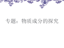 《专题：物质成分的探究》PPT课件7-九年级下册化学沪教版