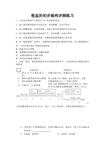 《基础实验6 粗盐的初步提纯》评测练习-九年级下册化学沪教版